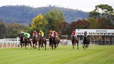 Big day out: the Mudgee Cup is the feature on an eight-race card.