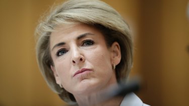 Minister for Jobs and Innovation Michaelia Cash has been under pressure over the inquiry. 