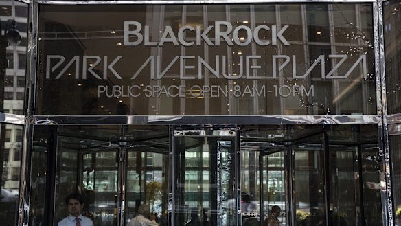 BlackRock's green credentials have long been questioned.