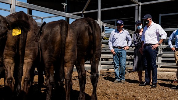 Opposition Leader Anthony Albanese with shadow minister for agriculture Julie Collins in Rockhampton.