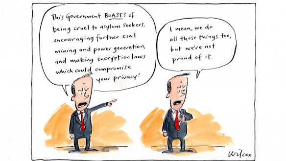 Illustration: Cathy Wilcox