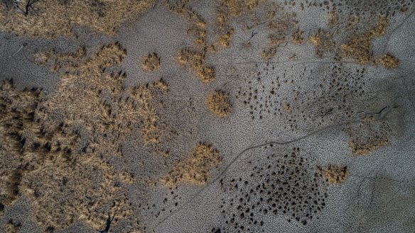 An aerial view of the southern Macquarie Marshes Nature Reserve taken in August 2019, during the recent drought.
