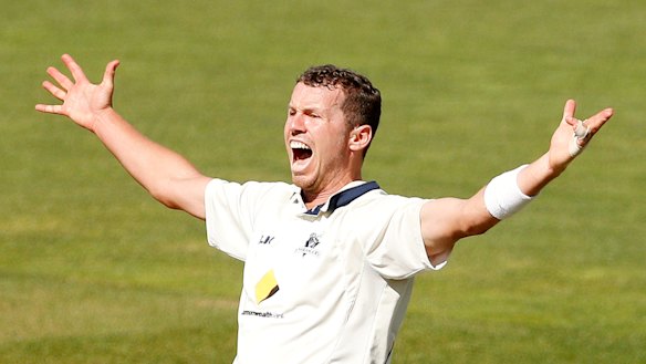 Peter Siddle is unlikely to play in Adelaide.