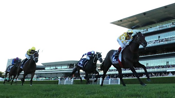 Sir Delius showed his true class when romping home in the Queen Elizabeth Stakes at Randwick in April.