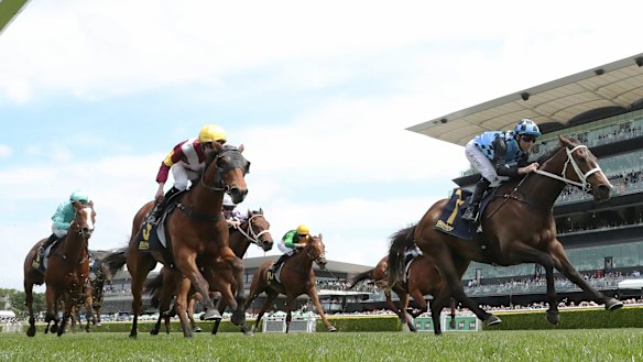 Panova wins the Reginald Allen Quality in October last year at Randwick.