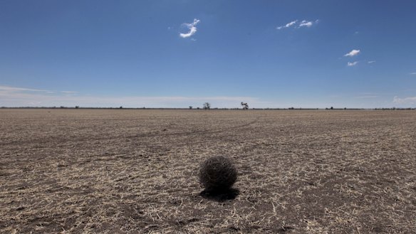 global stockpiles are poised to tumble to a 35-year low after dry conditions cut production from Europe to Australia.