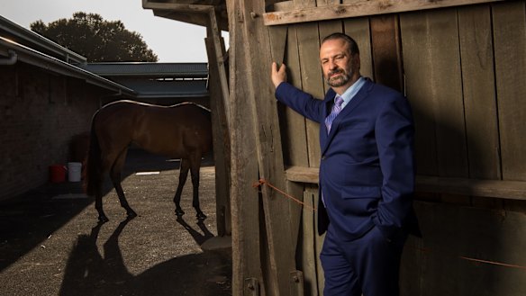 Racing NSW boss Peter V'landys has been publicly anointed by ARLC chairman Peter Beattie as his successor.