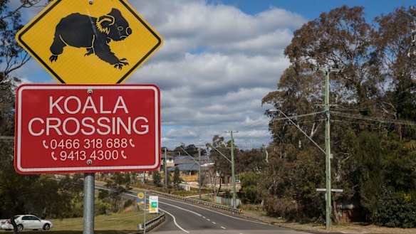 How Planning and Environment resolves key differences - such as the competition between nature and housing demand on Sydney's southern fringe - will be closely watched after the Berejiklian government's reorganisation.