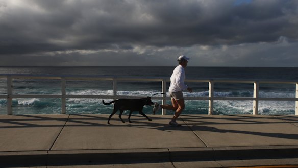 People always bang on about how wonderful it is to have a dog.