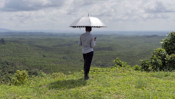 Nusantara is being constructed on the eastern side of the island of Borneo.