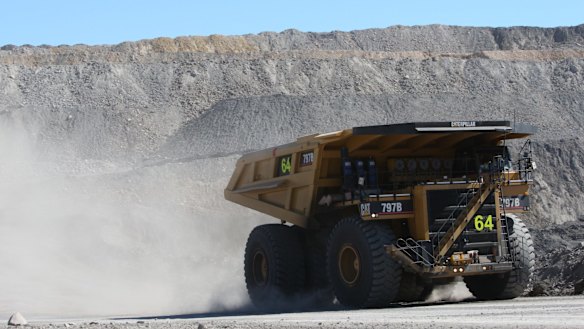 "Given the project and the controversy around that, it is best if we not participate in the project at all," Cardno's chairman says of the Carmichael mine.