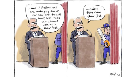 Illustration: Cathy Wilcox