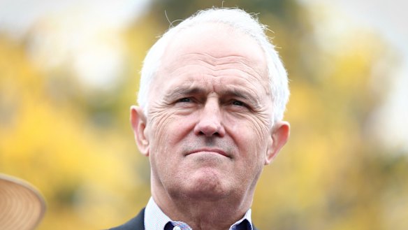 Malcolm Turnbull has defended the foreign interference laws he introduced when he was prime minister.