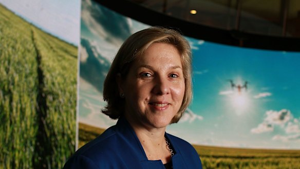 The two biggest proxy advisors have come out swinging against Tesla's Australian chairwoman Robyn Denholm.