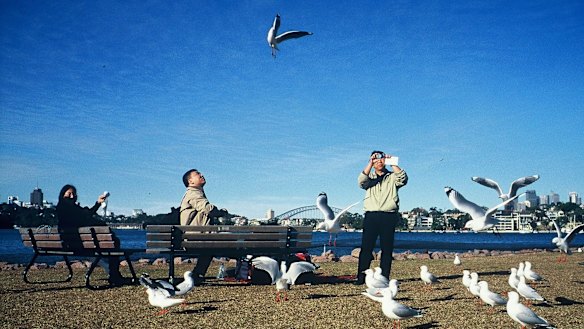 Big plans for Sydney's Cockatoo Island are being proposed. 