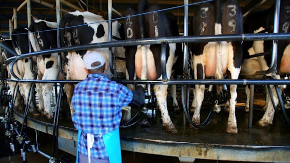 Dairy farmers will be told what they will be paid over the life of their contracts under the new code.