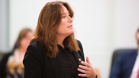 ACT sports minister Yvette Berry says the Gold Creek synthetic sports ground is safe.