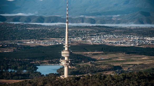 Canberra's urban forest is declining by thousands of trees per year. 