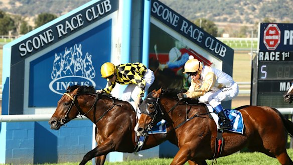Racing returns to Scone on Monday with an action-packed card.