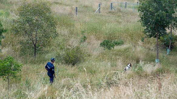 Police scour scrub and grassland near Toolern Vale, north-west of Melbourne.
