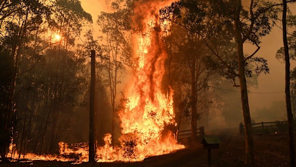 The Green Wattle fire in Orangeville, NSW on December 6.