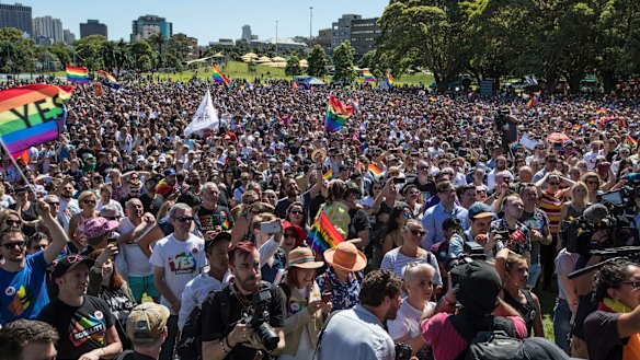 'Yes' voters celebrate at Prince Alfred Park in November last year. 