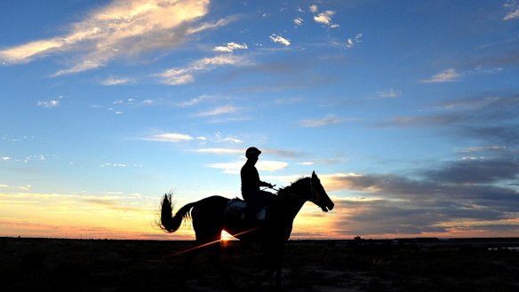 They’re racing at Tamworth on Friday.