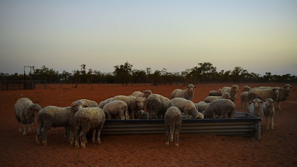 The past summer was easily the state's hottest - with the drought only making things harder for farmers.