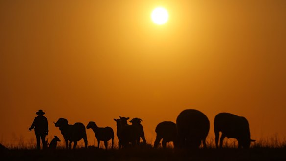 The federal electorates most vulnerable to climate change are in regional areas far from the coast, analysis has found.
