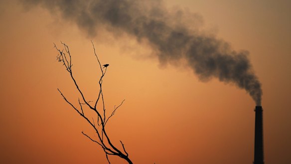 A crow sits on a dead tree and smoke emits from the chimney of a factory as the sun sets in Delhi.