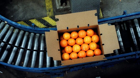 Some of Costa Group's Riverland citrus orchards have been hit by a hail storm.