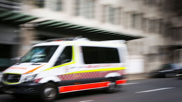 NSW Health boss Elizabeth Koff says 300 offenders have been charged with assaulting paramedics since 2014.