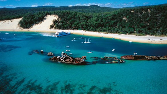 Moreton Island's Tangalooma Wrecks.