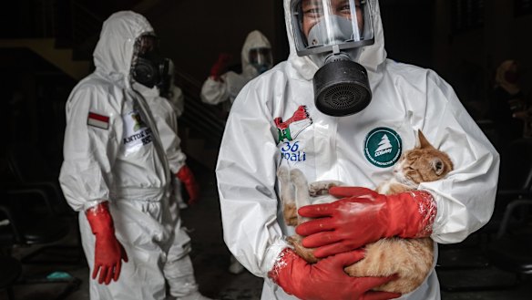 An Indonesian volunteer wearing personal protective equipment (PPE) carries his cat as he prepares for the burial process of bodies suspected being infected COVID-19.