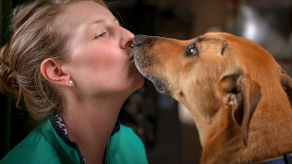 A wire rope barrier may have prevented many of the horrific injuries that Micaela Henderson (pcitured with her dog Blue) suffered in a car crash in 2010.