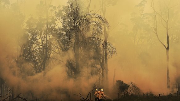 NSW RFS fire fighters surrounded by smoke as they work on battling a fire near the Inghams Bargo Chicken Breeder Production Complex at Tahmoor.
