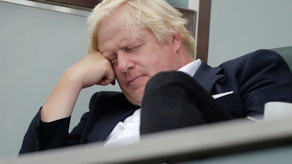 Johnson dozes off at the cricket last year.