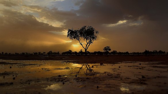 Pools of water after rain on the otherwise parched plain between Louth and Bourke, two towns on the Darling River.