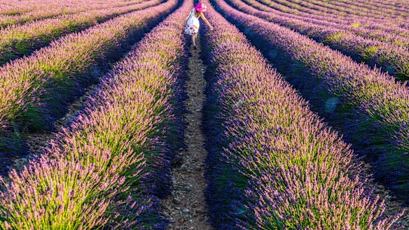 Therapists are prescribing getting out into nature as way to support mental health.