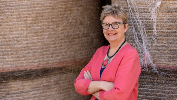 Susan Benedyka is running as an independent Senate candidate for Victoria, part of a growing movement to get independents elected and shake up “politics as usual” in Canberra.