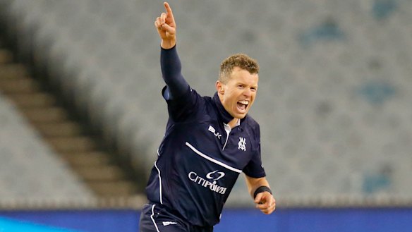 Keeping pace: Veteran Peter Siddle continues to shine with the ball.