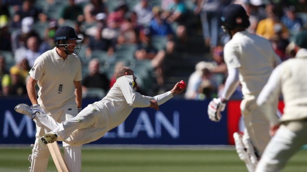 Screamer: Nathan Lyon was the bowler of the series the last time England played an Ashes series in Australia.