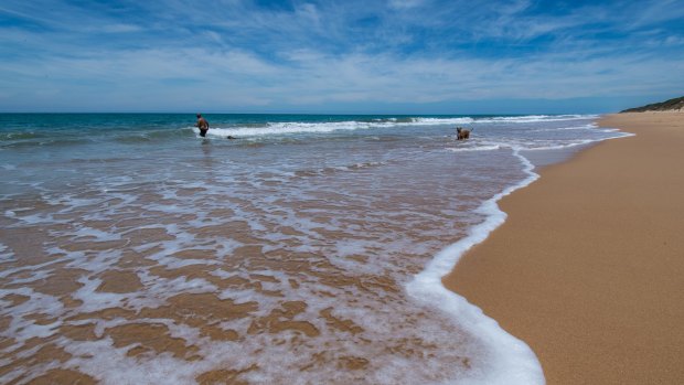 Paradise Beach, one of the areas that was sold off in lots to unsuspecting migrants mid-last century.