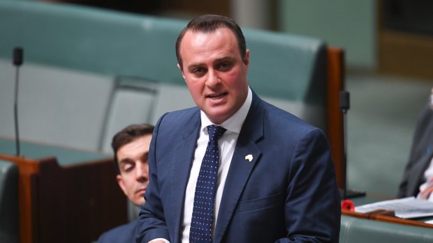 Liberal MP Tim Wilson is leading the attack on Labor's proposed changes to franking credits. 