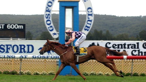 They're off: Gosford hosts an eight-race card on Thursday.