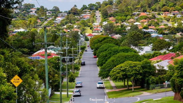 More than 450,000 street trees are managed by Brisbane City Council.