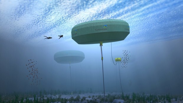 The Albany wave power project has come under question.