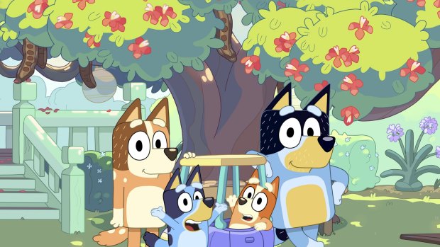 The ABC is planning to make it compulsory for viewers to register their personal detail to watch Bluey online.