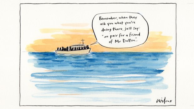 Illustration: Cathy Wilcox