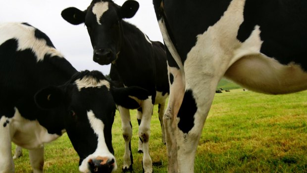 The sale will give Fonterra $NZ1 billion to put towards debt reduction.